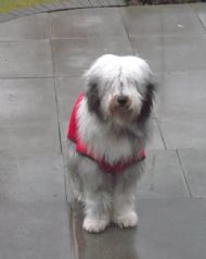 1 year old
